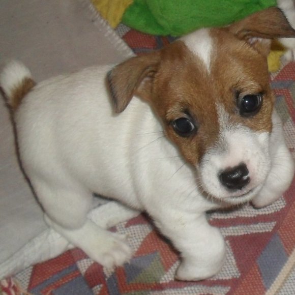 Thanks for shopping my closet!!! - Picture 7 of 16